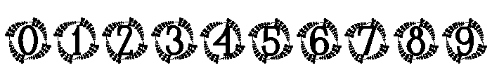 Regalia Monogram Font OTHER CHARS