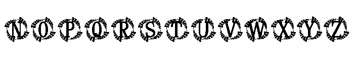 Regalia Monogram Font LOWERCASE