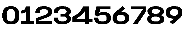 Replicon Font OTHER CHARS