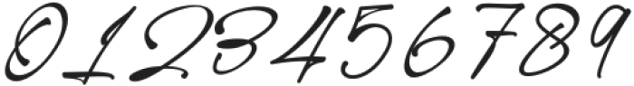 RebornSignature-Regular otf (400) Font OTHER CHARS