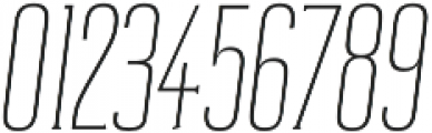 Reformer-Serif Light Italic otf (300) Font OTHER CHARS