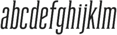 Reformer-Serif Semi Bold Italic otf (600) Font LOWERCASE
