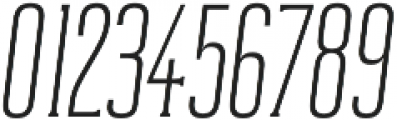 Reformer-Serif Semi Light Italic otf (300) Font OTHER CHARS