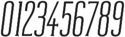 Reformer-Serif otf (400) Font OTHER CHARS