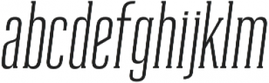 Reformer-Serif otf (400) Font LOWERCASE