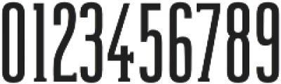 Reformer-Serif otf (700) Font OTHER CHARS