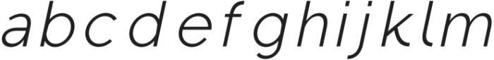 Regon Light Italic otf (300) Font LOWERCASE