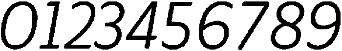 Regular-Italic otf (400) Font OTHER CHARS
