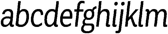 Regular Italic otf (400) FONT