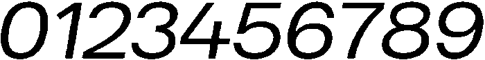 Regular Italic otf (400) Font OTHER CHARS