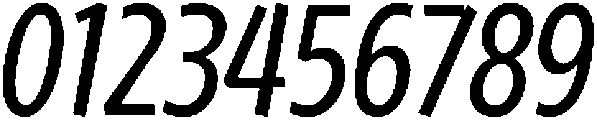 Regular Italic otf (400) Font OTHER CHARS