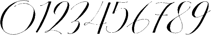 Regular Italic otf (400) Font OTHER CHARS