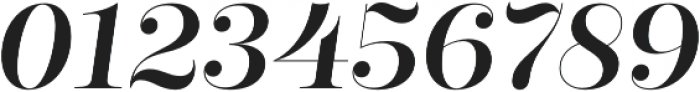 Regular Italic otf (400) Font OTHER CHARS