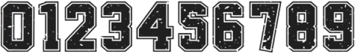 RegularVarsityGrunge-Regular otf (400) Font OTHER CHARS