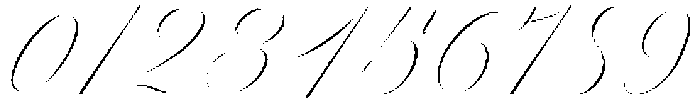 Reichamerina 230 Italic otf (400) Font OTHER CHARS