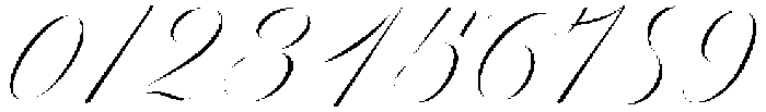 Reichamerina 330 Italic otf (400) Font OTHER CHARS