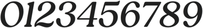 Reigo Medium Italic otf (500) Font OTHER CHARS
