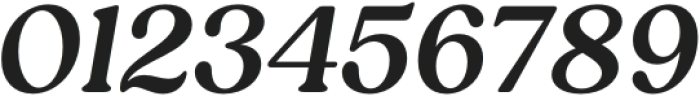 Reigo Semi Bold Italic otf (600) Font OTHER CHARS