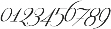 Respective Swashes Slanted ttf (400) Font OTHER CHARS