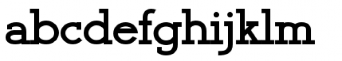 Register Serif BTN Black Font LOWERCASE