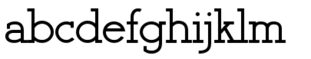 Register Serif BTN Bold Font LOWERCASE