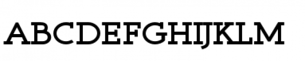 Register Serif BTN Short Caps Bold Font LOWERCASE