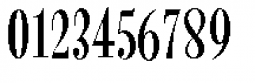 Revla Serif Regular Font OTHER CHARS