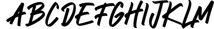 Reflecta Script Graffiti Style Font 1 Font UPPERCASE