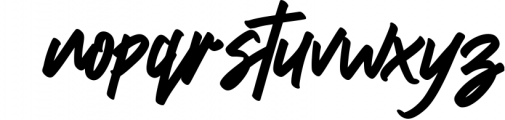 Reflecta Script Graffiti Style Font 1 Font LOWERCASE