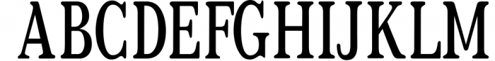 Relica - Serif font family 13 Font UPPERCASE