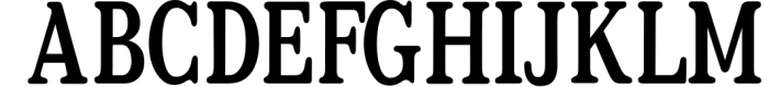 Relica - Serif font family 1 Font UPPERCASE