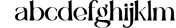 Renjany - Elegant Serif Font Font LOWERCASE