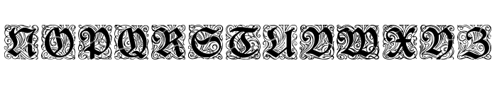 RedivivaZierbuchstaben Font LOWERCASE