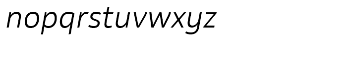 Rehn Light Italic Font LOWERCASE