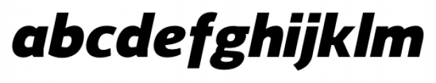 Regan Black Italic Font LOWERCASE
