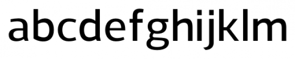 Regan DemiBold Font LOWERCASE