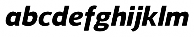 Regan Heavy Italic Font LOWERCASE
