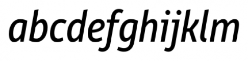 Rehn Condensed Italic Font LOWERCASE