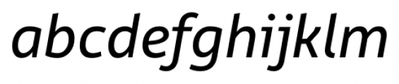Rehn Italic Font LOWERCASE