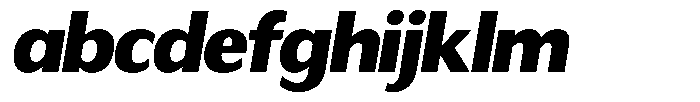 Readant Black Semi Expanded Oblique FONT