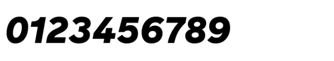 Reader Black Italic Font OTHER CHARS