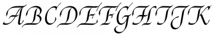 Reed Medium Font UPPERCASE