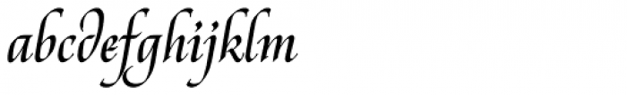 Reed Medium Font LOWERCASE