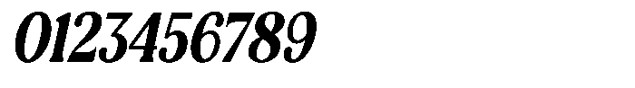 Refagio Black Condensed Italic Font OTHER CHARS