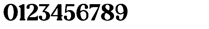 Refagio Black Semi Condensed Font OTHER CHARS