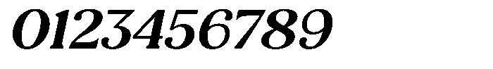 Refagio Bold Italic Font OTHER CHARS