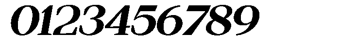 Regante Extra Bold Semi Expanded Slant Font OTHER CHARS