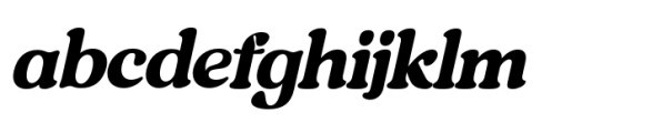 Regard SS Italic FONT