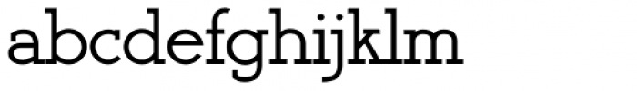Register Serif BTN Bold Font LOWERCASE