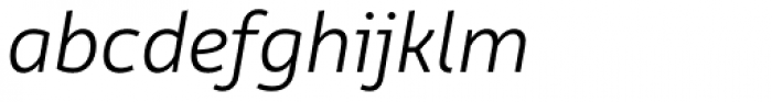 Rehn Light Italic Font LOWERCASE